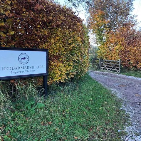 Cheddarmarsh Signage